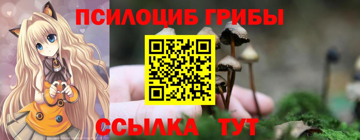 Псилоцибиновые грибы Psilocybine cubensis  Галлюциногенные грибы мухоморы  Новокубанск  Вход с VPN 